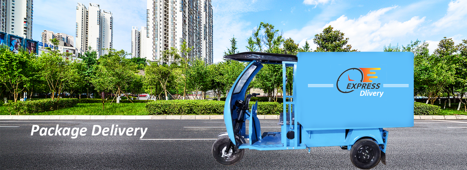 E-Rickshaw Loader